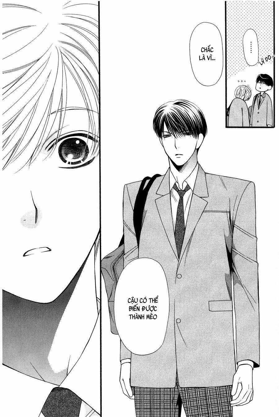 Neko Neko Honey - Chapter 11 - Trang 19