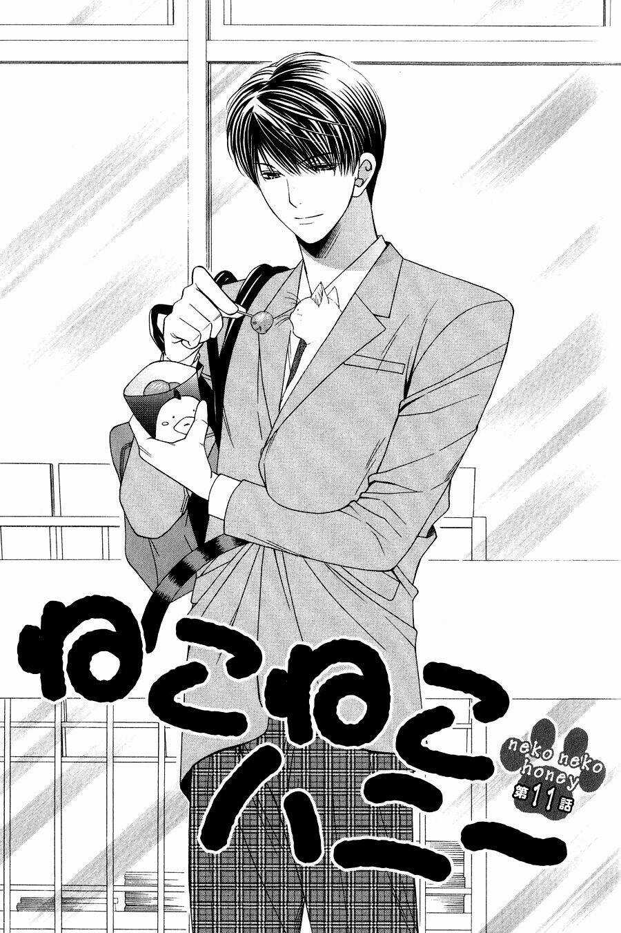 Neko Neko Honey - Chapter 11 - Trang 3