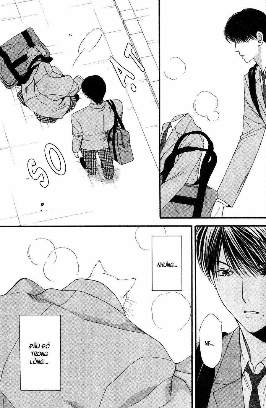 Neko Neko Honey - Chapter 11 - Trang 21