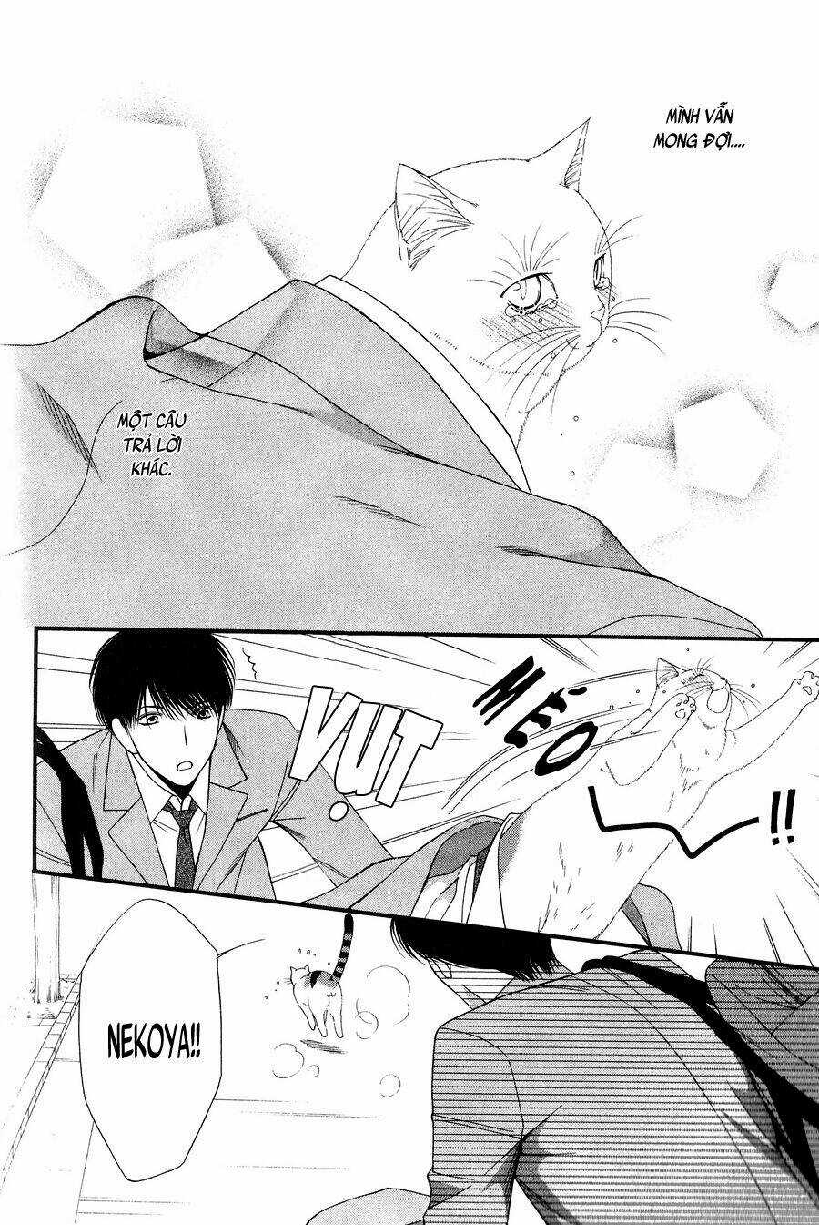Neko Neko Honey - Chapter 11 - Trang 22