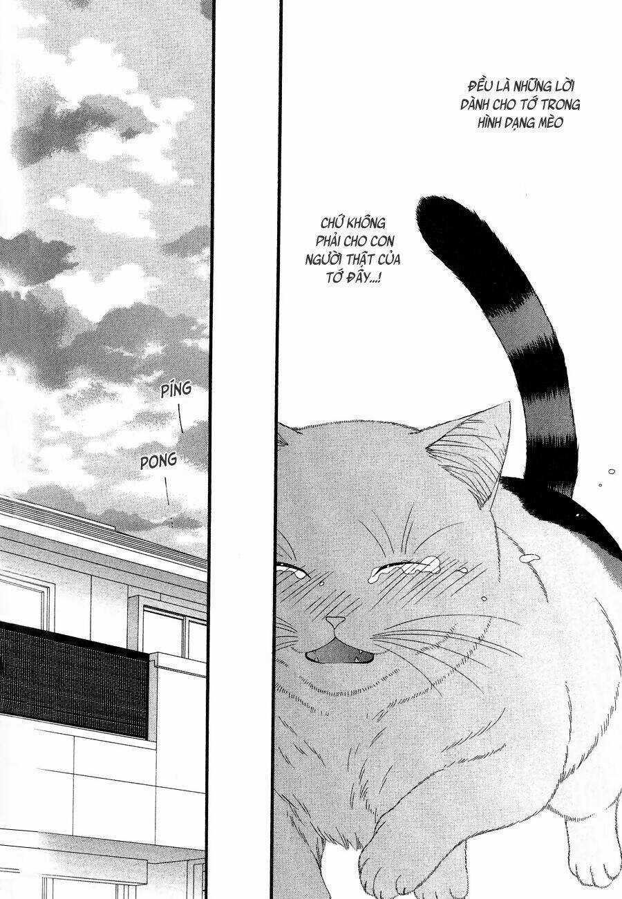 Neko Neko Honey - Chapter 11 - Trang 24