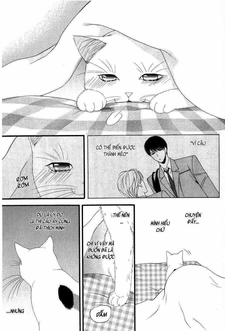 Neko Neko Honey - Chapter 11 - Trang 27