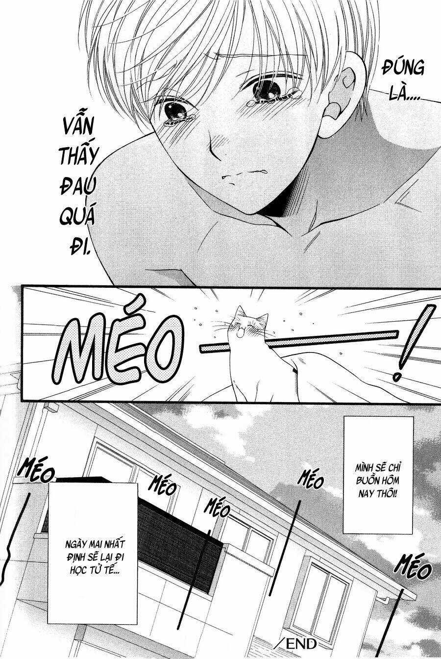 Neko Neko Honey - Chapter 11 - Trang 28