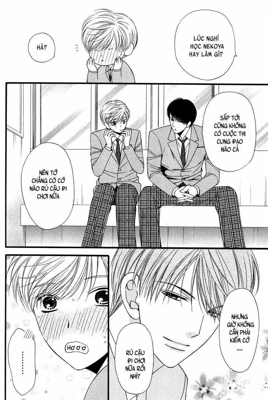 Neko Neko Honey - Chapter 11 - Trang 8