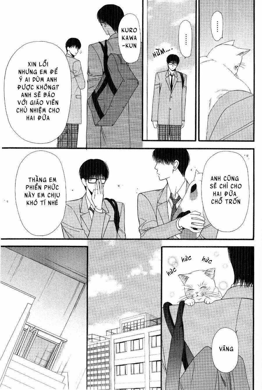 Neko Neko Honey - Chapter 12 - Trang 11