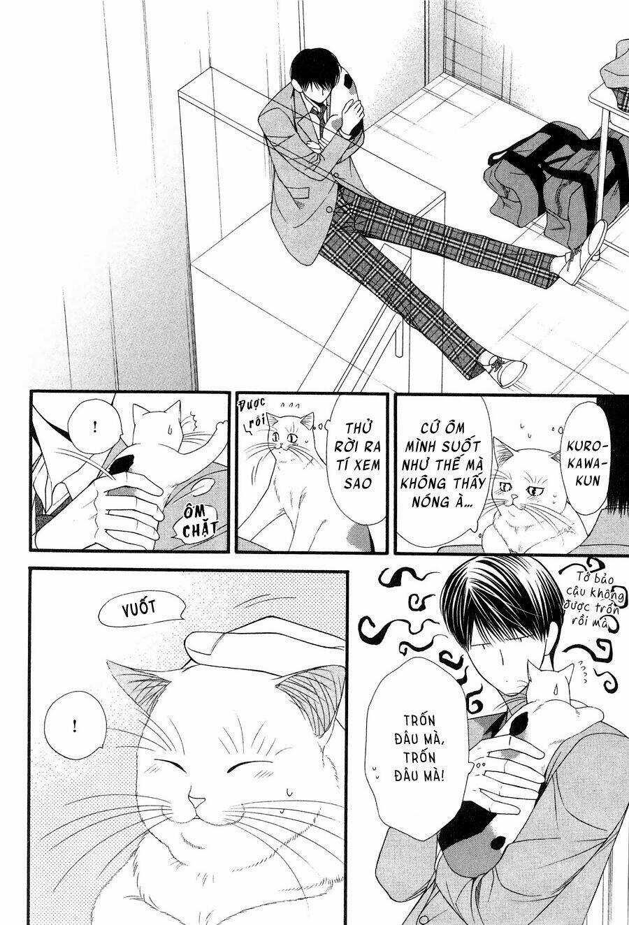 Neko Neko Honey - Chapter 12 - Trang 12