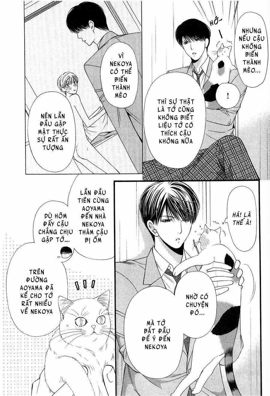 Neko Neko Honey - Chapter 12 - Trang 15