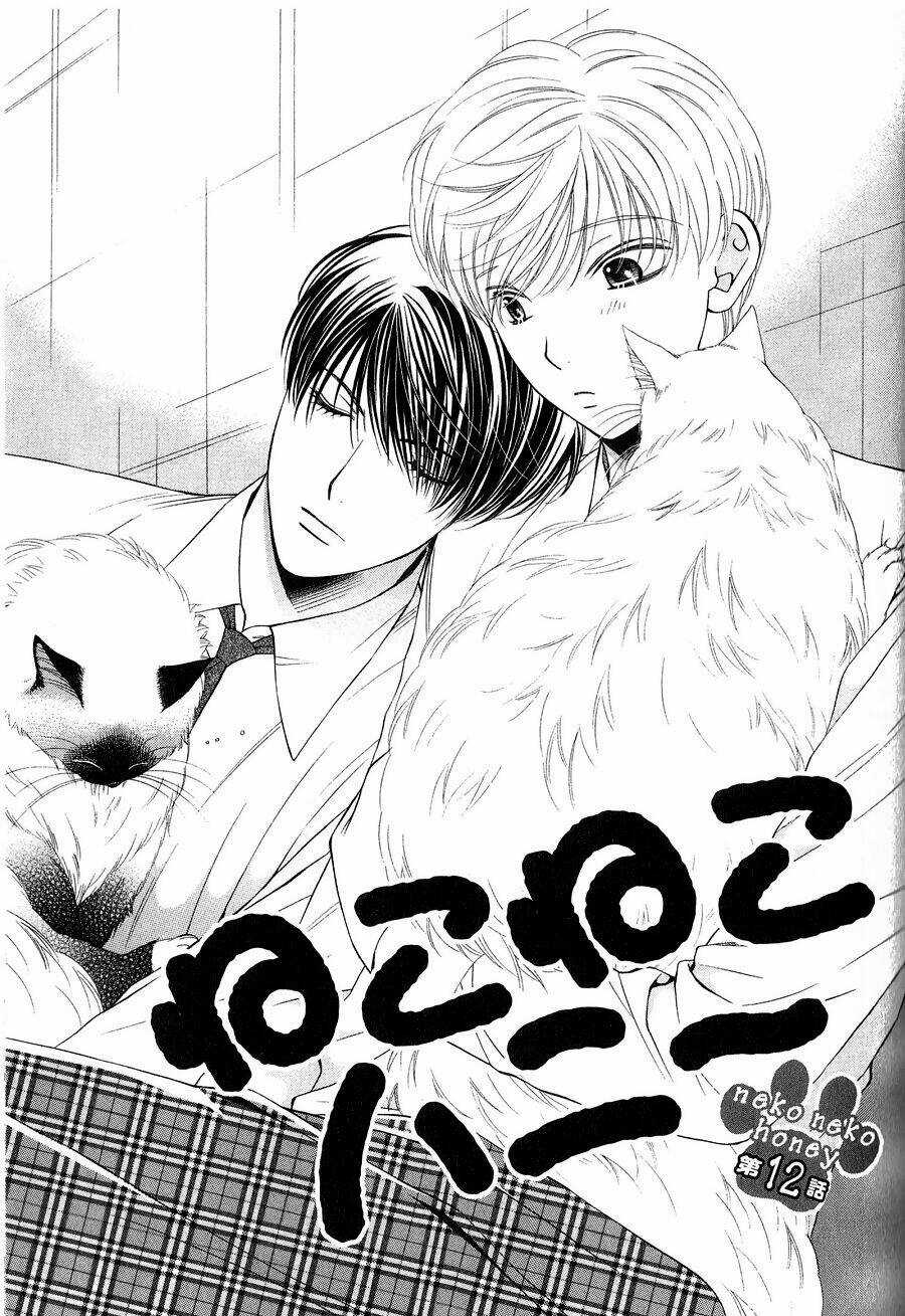 Neko Neko Honey - Chapter 12 - Trang 3