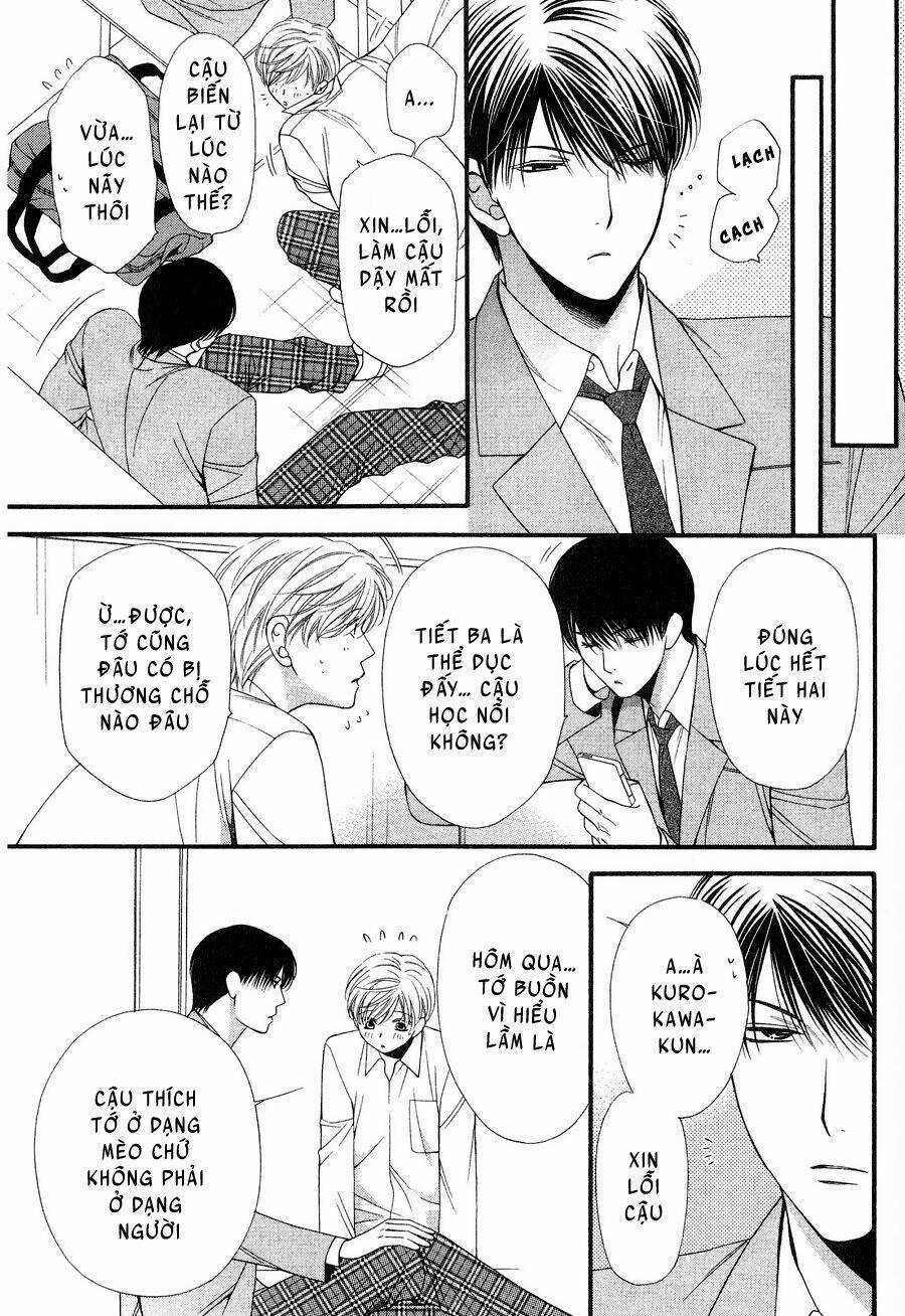 Neko Neko Honey - Chapter 12 - Trang 21