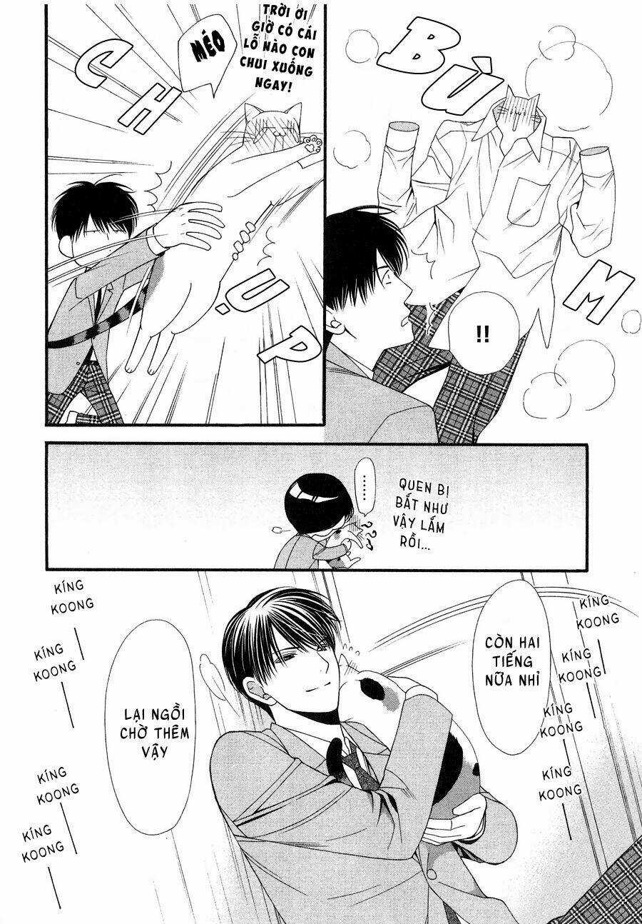 Neko Neko Honey - Chapter 12 - Trang 24