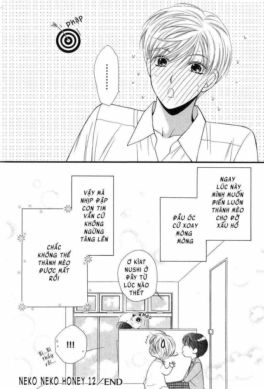 Neko Neko Honey - Chapter 12 - Trang 32