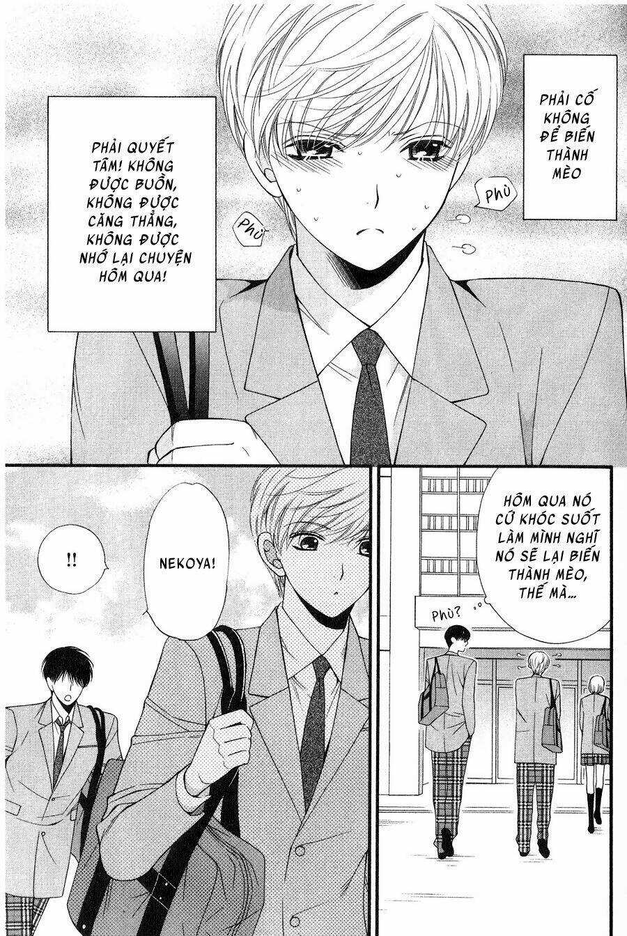 Neko Neko Honey - Chapter 12 - Trang 5