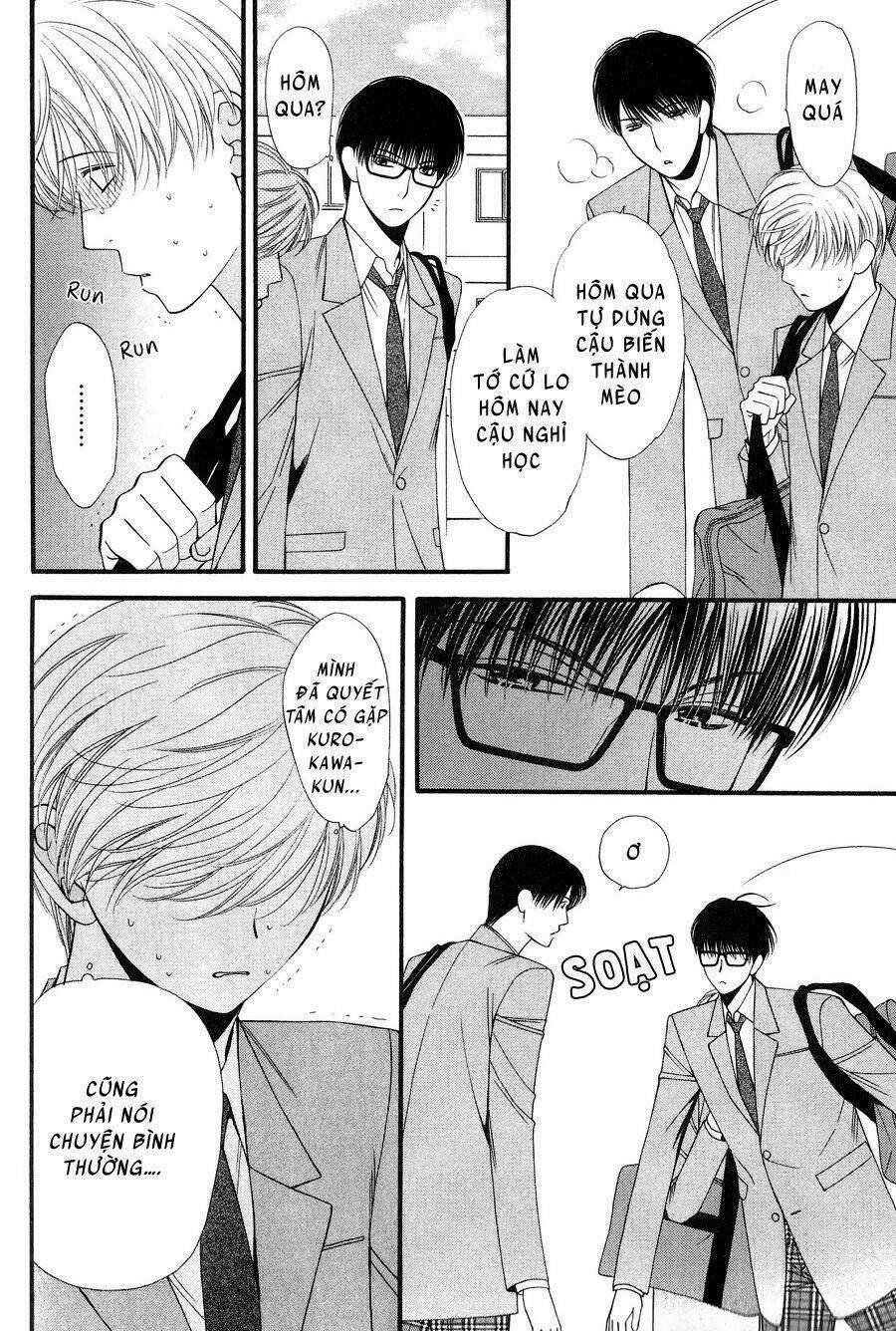 Neko Neko Honey - Chapter 12 - Trang 6