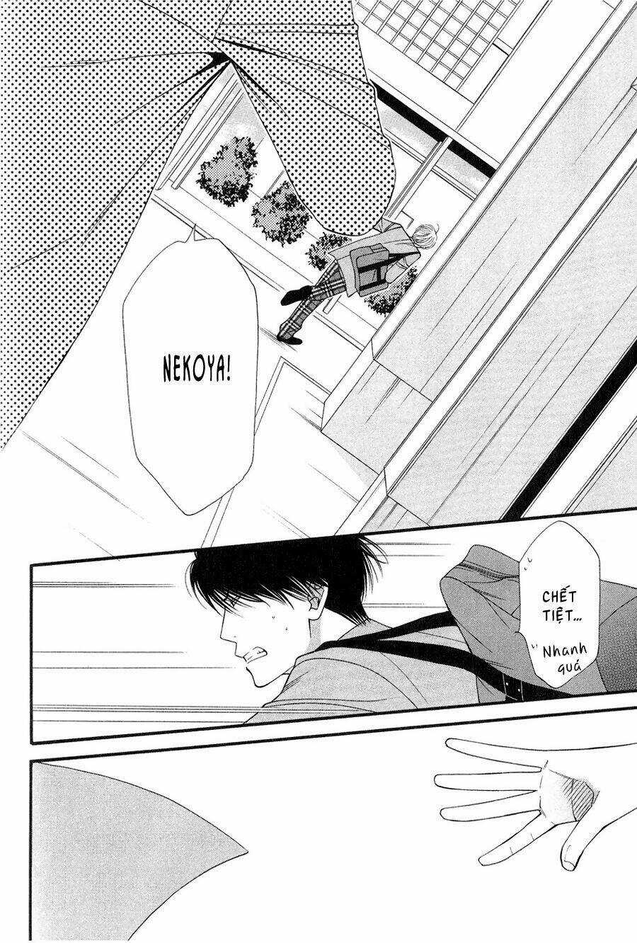 Neko Neko Honey - Chapter 12 - Trang 8