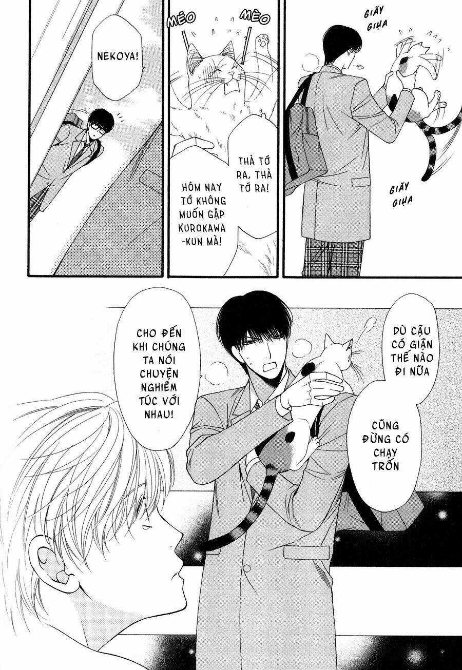 Neko Neko Honey - Chapter 12 - Trang 10