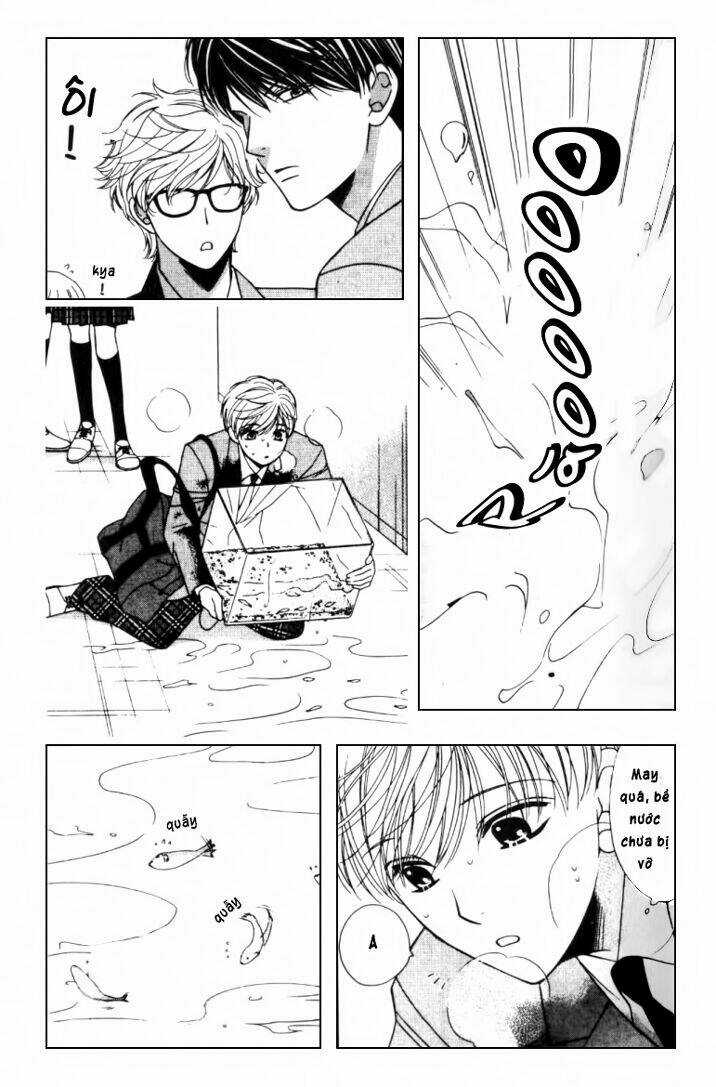 Neko Neko Honey - Chapter 2 - Trang 12