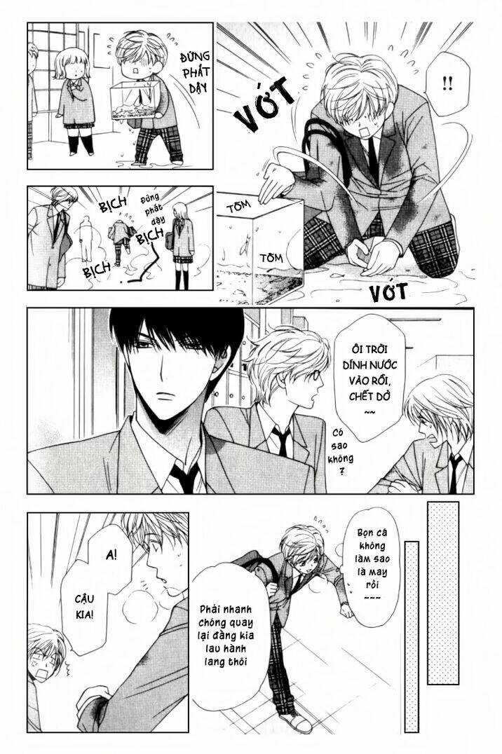 Neko Neko Honey - Chapter 2 - Trang 13