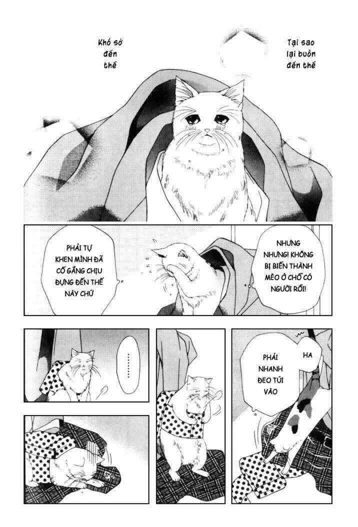 Neko Neko Honey - Chapter 2 - Trang 19
