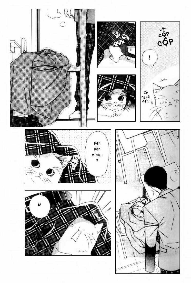 Neko Neko Honey - Chapter 2 - Trang 20