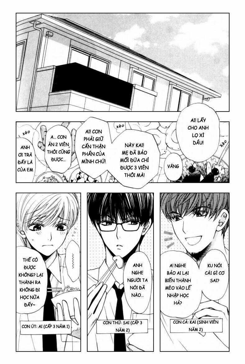 Neko Neko Honey - Chapter 2 - Trang 3