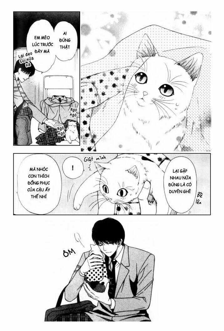 Neko Neko Honey - Chapter 2 - Trang 23