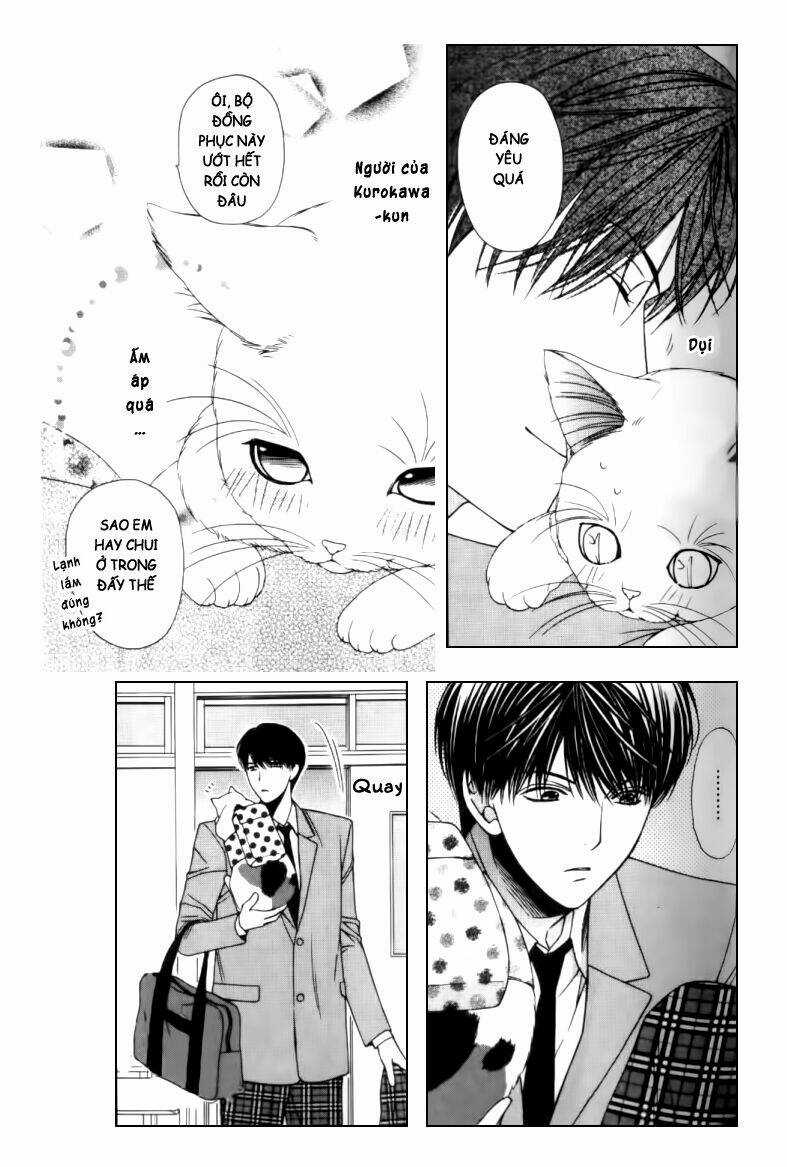 Neko Neko Honey - Chapter 2 - Trang 24