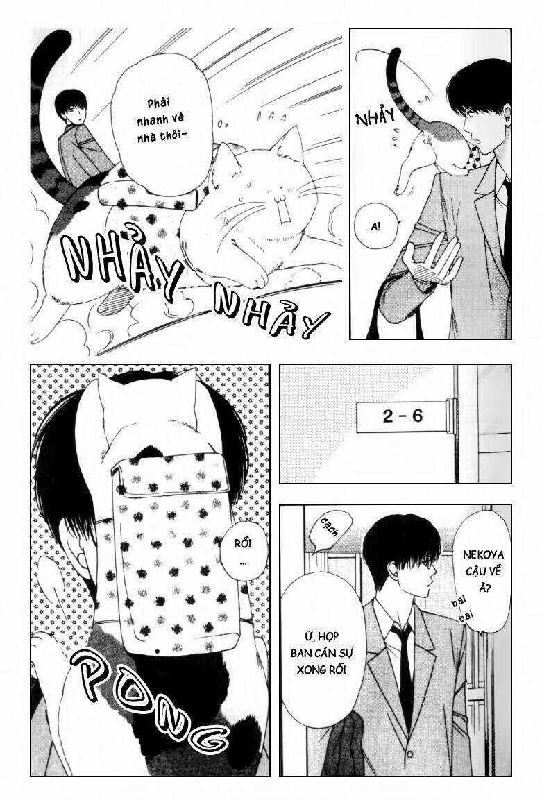 Neko Neko Honey - Chapter 2 - Trang 26