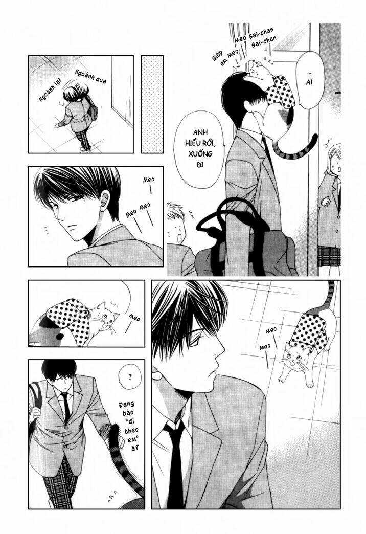 Neko Neko Honey - Chapter 2 - Trang 27