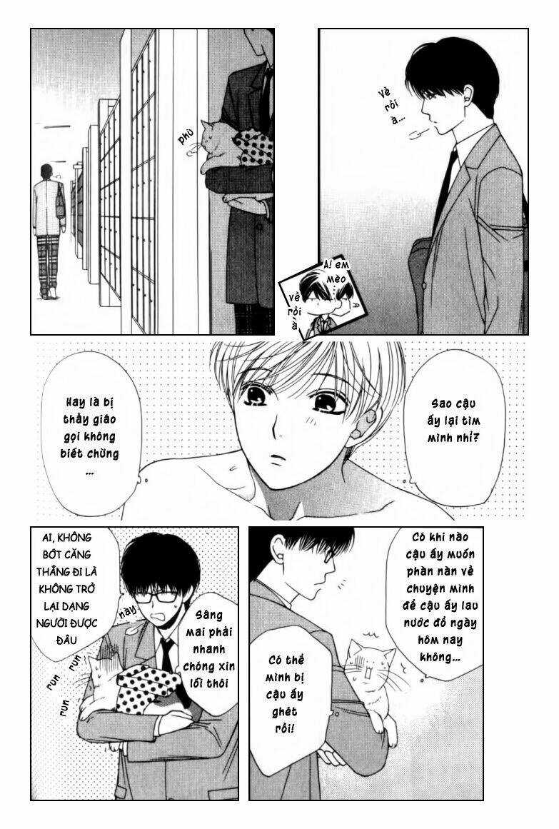 Neko Neko Honey - Chapter 2 - Trang 29