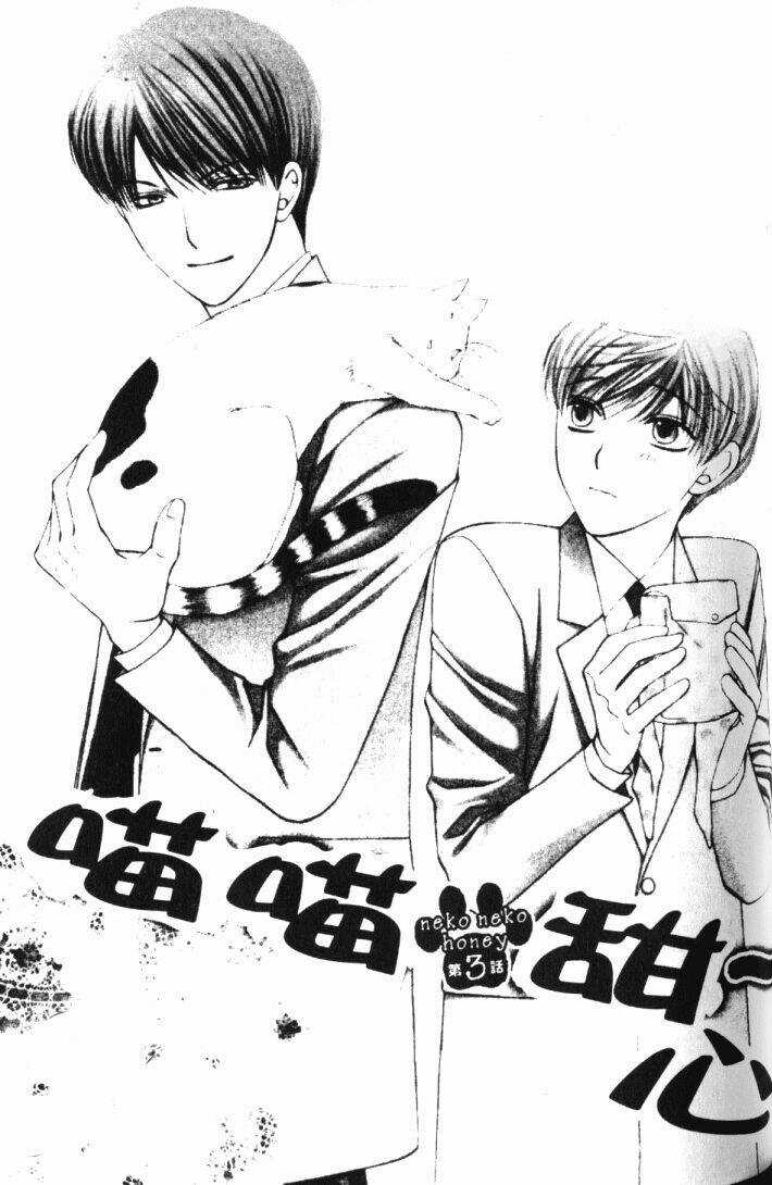 Neko Neko Honey - Chapter 3 - Trang 2