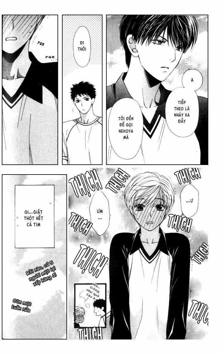 Neko Neko Honey - Chapter 3 - Trang 17