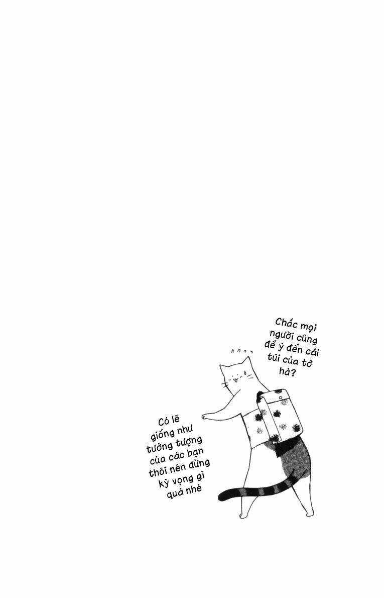 Neko Neko Honey - Chapter 3 - Trang 3