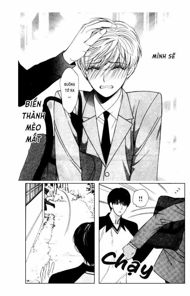 Neko Neko Honey - Chapter 3 - Trang 32