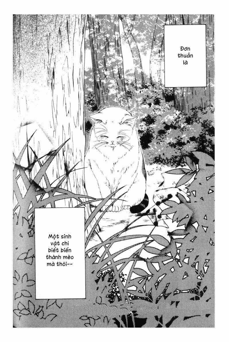 Neko Neko Honey - Chapter 3 - Trang 35
