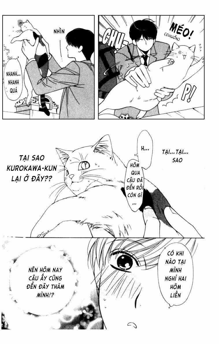 Neko Neko Honey - Chapter 4 - Trang 19