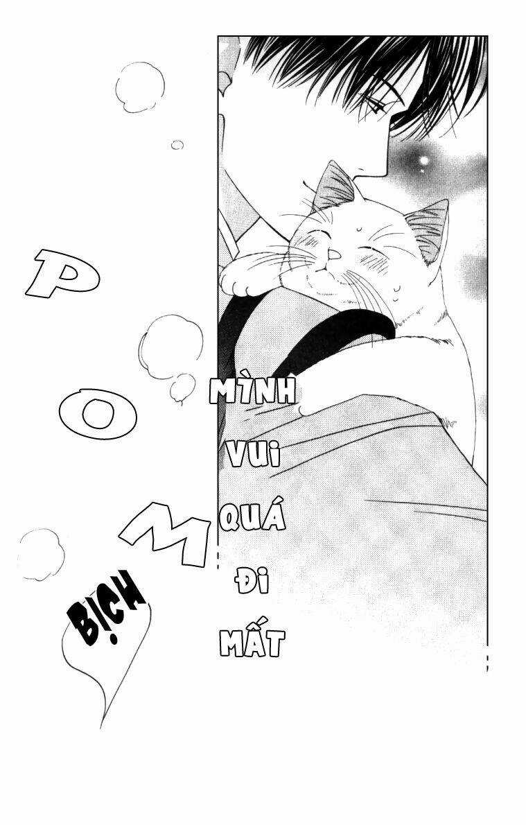 Neko Neko Honey - Chapter 4 - Trang 21
