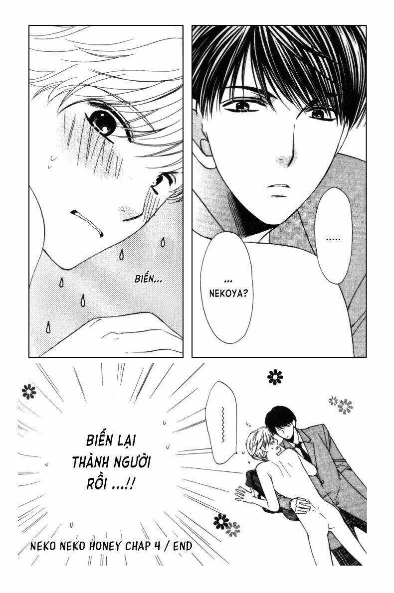 Neko Neko Honey - Chapter 4 - Trang 23