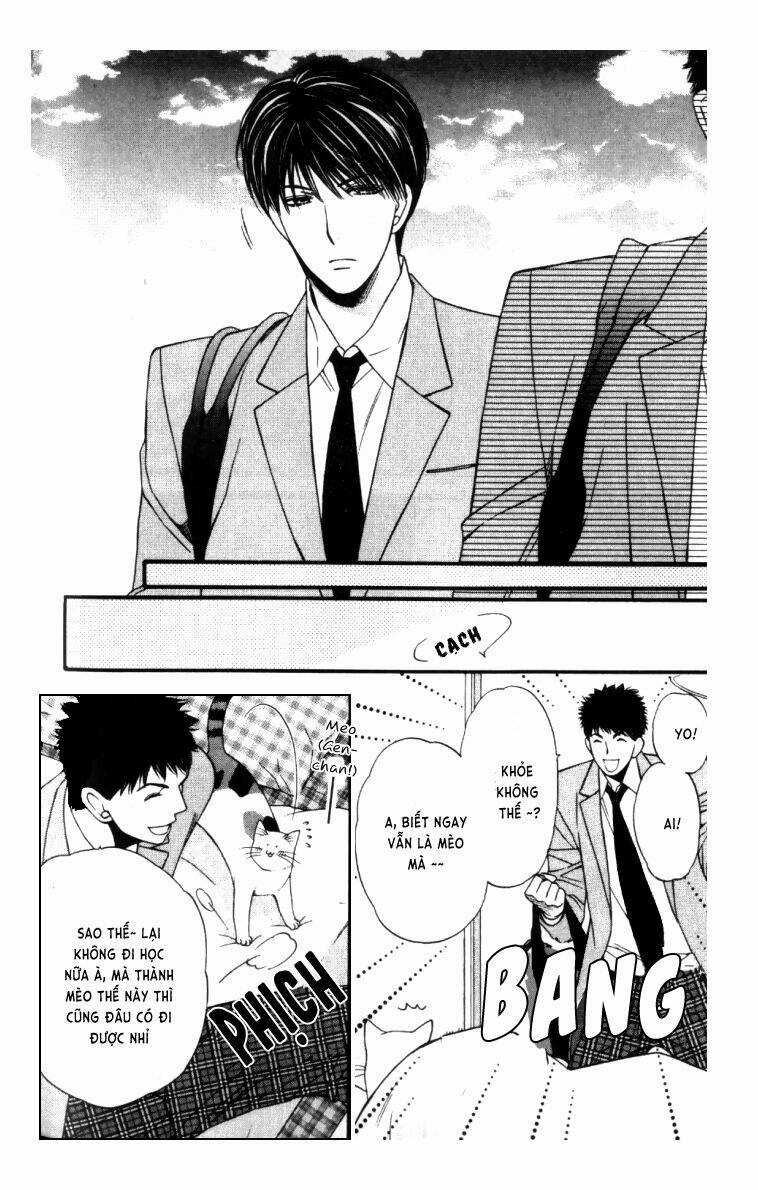 Neko Neko Honey - Chapter 4 - Trang 5