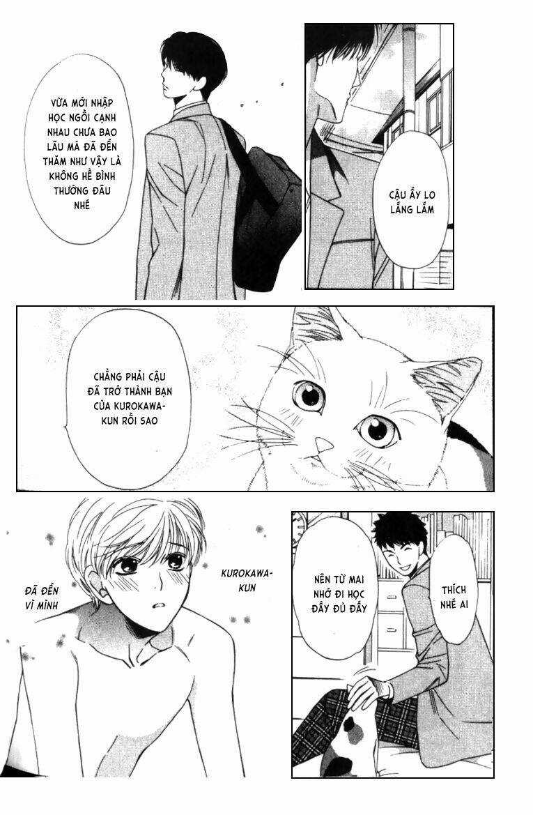 Neko Neko Honey - Chapter 4 - Trang 7
