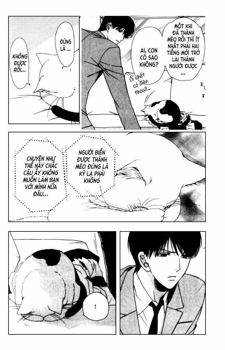 Neko Neko Honey - Chapter 5 - Trang 11