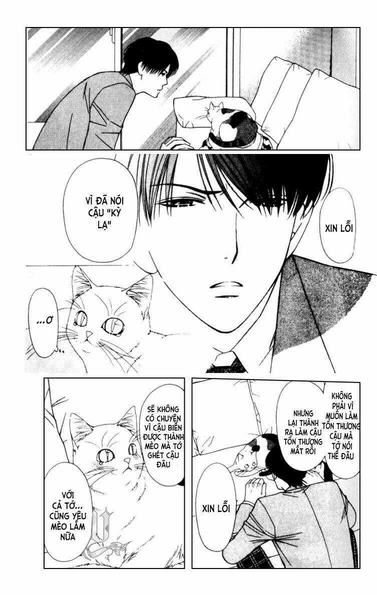 Neko Neko Honey - Chapter 5 - Trang 12