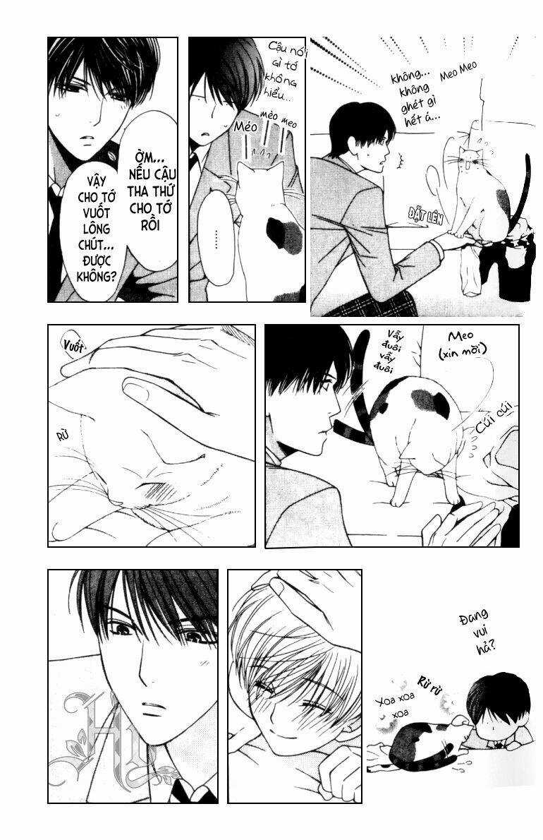 Neko Neko Honey - Chapter 5 - Trang 14