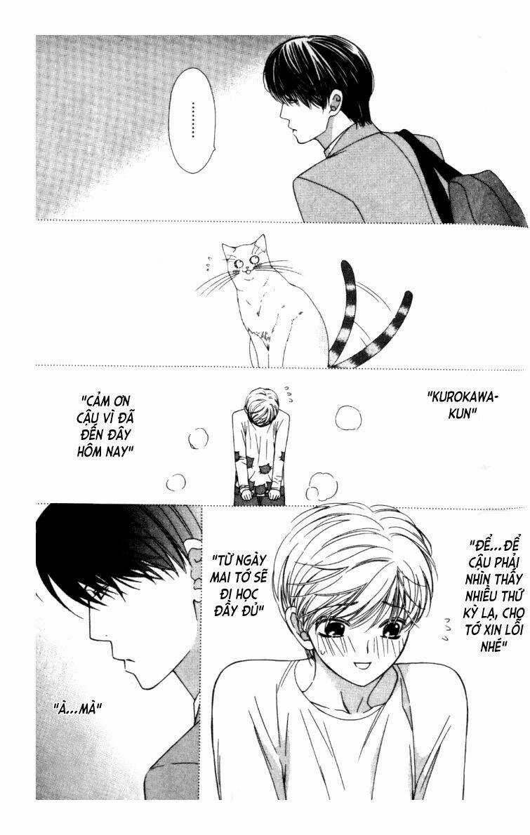 Neko Neko Honey - Chapter 5 - Trang 16