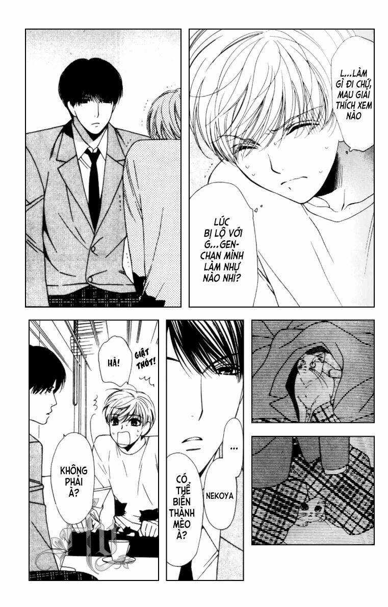 Neko Neko Honey - Chapter 5 - Trang 6