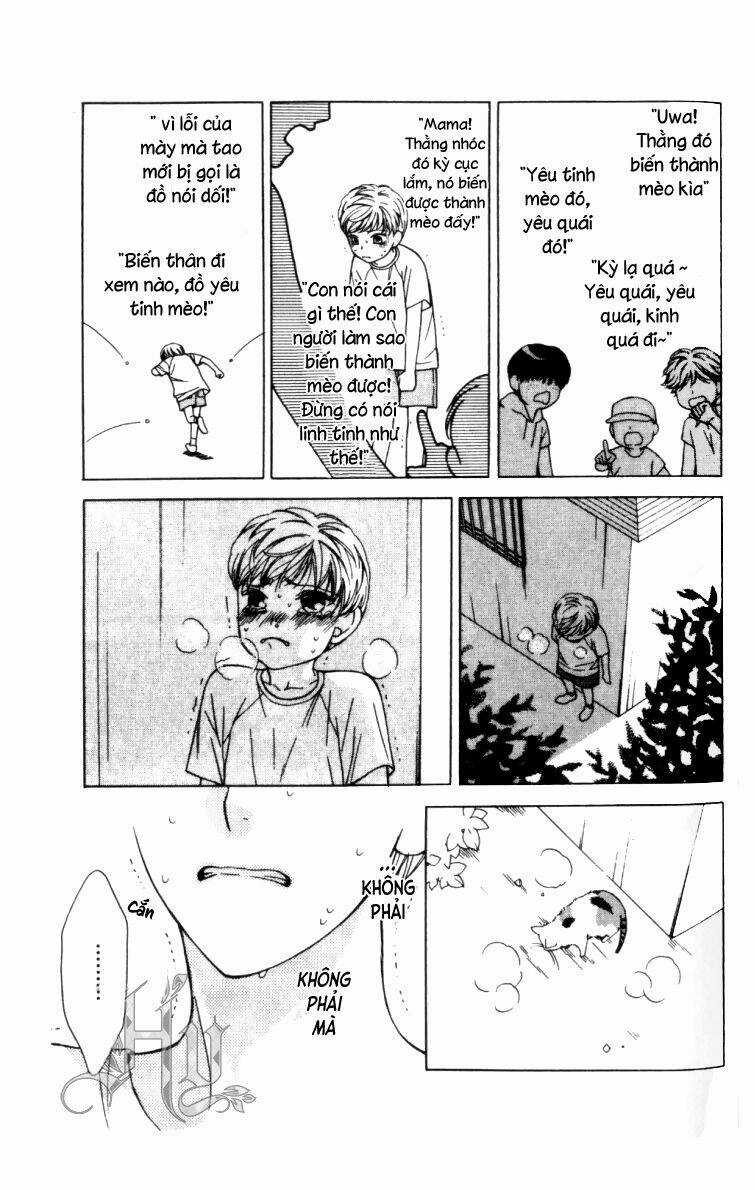 Neko Neko Honey - Chapter 5 - Trang 8