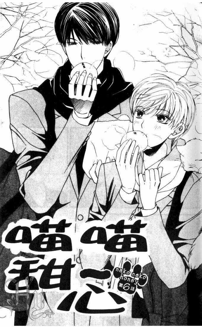 Neko Neko Honey - Chapter 6 - Trang 2