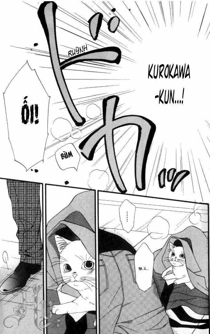 Neko Neko Honey - Chapter 6 - Trang 24