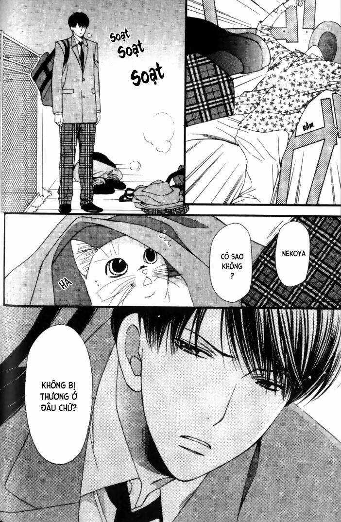 Neko Neko Honey - Chapter 6 - Trang 26