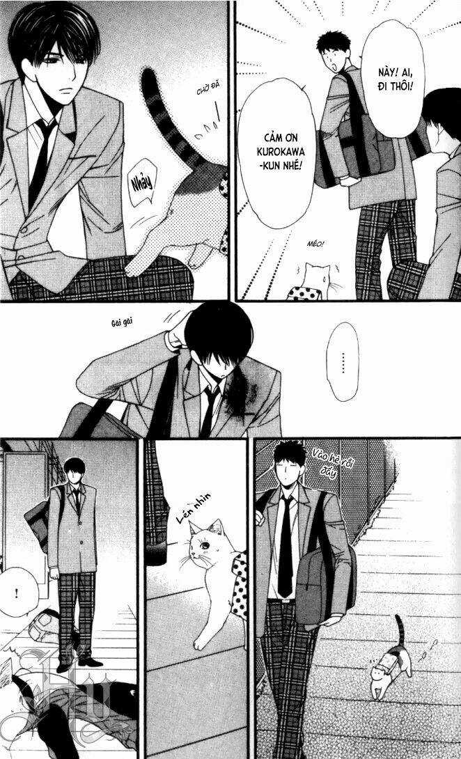 Neko Neko Honey - Chapter 6 - Trang 29