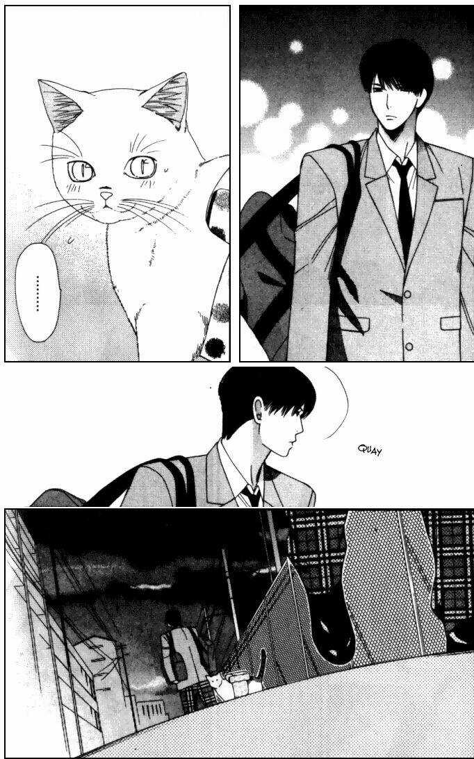 Neko Neko Honey - Chapter 6 - Trang 30